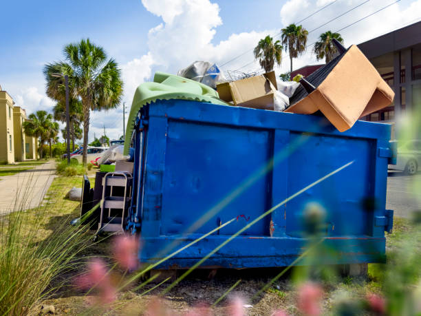 Best Dumpster Rental Services in Bay Pines, FL